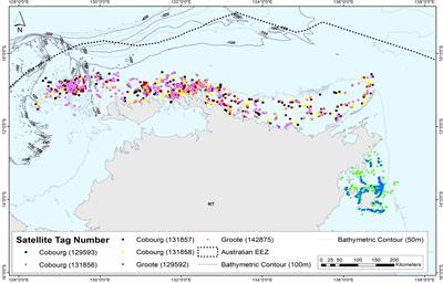 Evidence of resident coastal population(s) of false killer whales (Pseudorca crassidens) in northern Australian waters